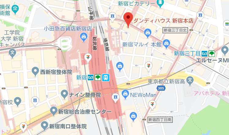 ダンディハウス新宿本院＿MAP